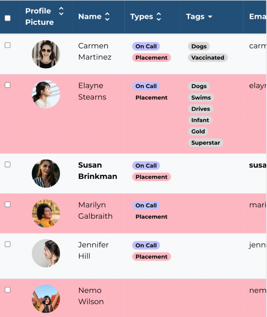 sitter pro enginehire