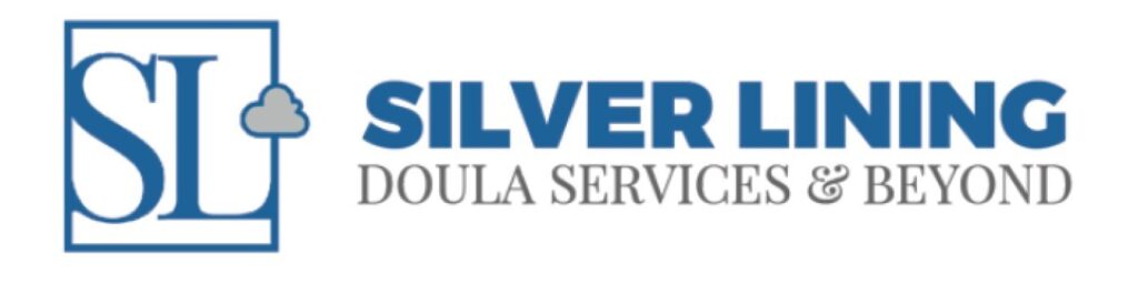 silver EngineHire