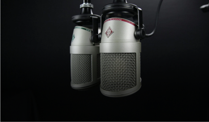 Nanny Placement Agencies Software